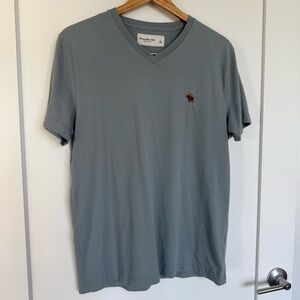 Abercrombie | Teal V Neck Short Sleeve T Shirt